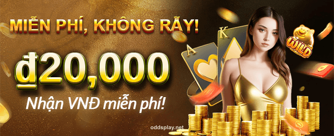 Fantasy Sports Adventure Awaits